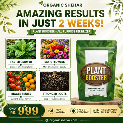 🌱 PLANT BOOSTER SPRAY – Faster Growth & More Fruits