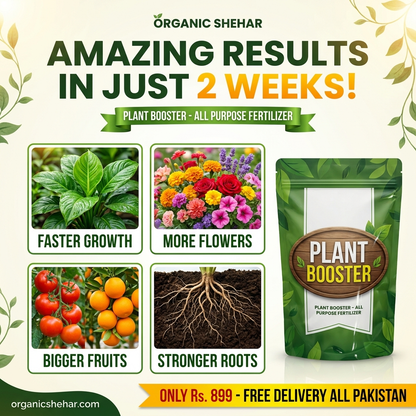 🌱 PLANT BOOSTER SPRAY – Faster Growth & More Fruits