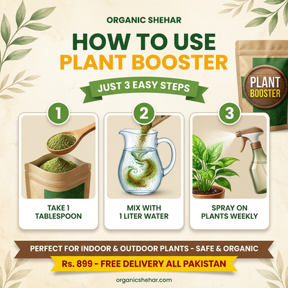 🌱 PLANT BOOSTER SPRAY – Faster Growth & More Fruits