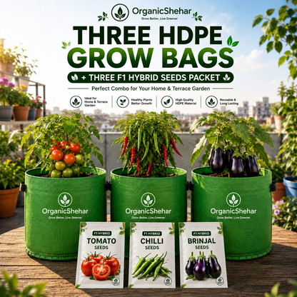 Pack of three HDPE grow bags +3 vegetable seeds packets
